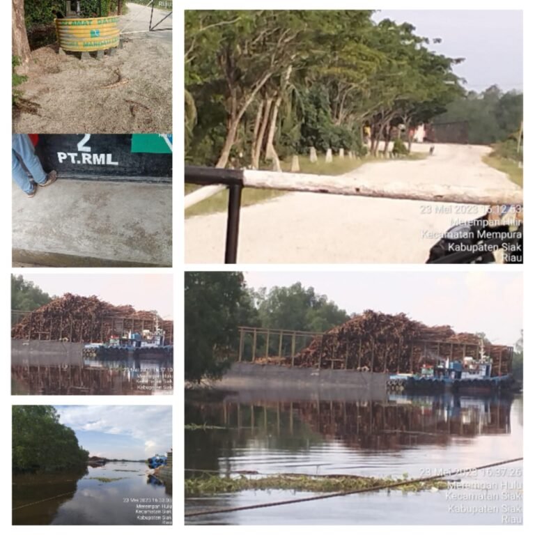 Pelabuhan Liar di Bibir Sungai Siak Bebas Beraktifitas Pihak Berwenang Diam Membisu, Ada Apa?