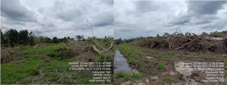 Terkait Cukong dan Mafia Tanah di Siak, Ketua LKBH Forkorindo Pusat Pertanyakan Putusan Mahkamah Agung No.1604