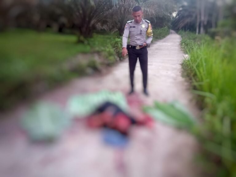 Ngeri! Diduga Telah Dibunuh, Mayat Laki-Laki Yang di Temukan Warga Sudah Dalam Keadaan Tergeletak dan Bersimbah Darah