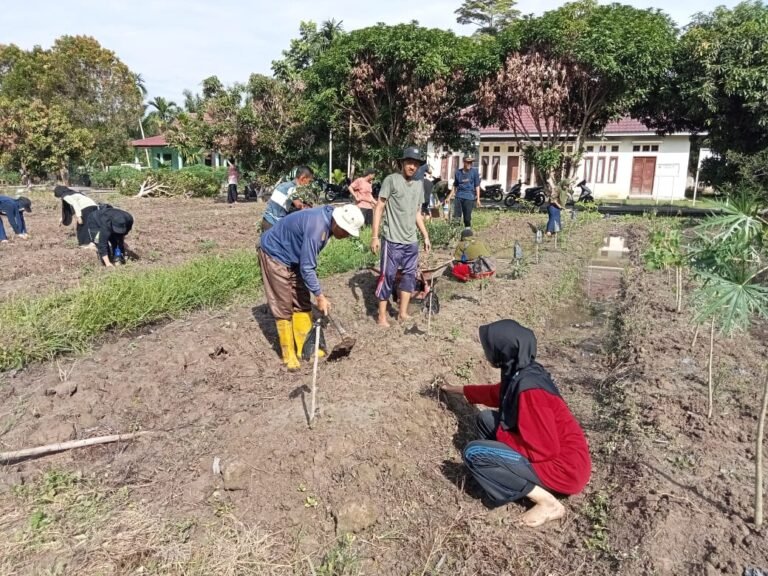 Bangkitkan Budaya Gotong Royong, Mahasiswa/i KKN UIN SUSKA Riau Bersama Masyarakat Lakukan Goro di Kebun Toga Kampung Temusai
