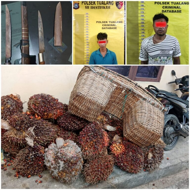 Spesialis Ninja Sawit di PT. SIR Tualang, Akhirnya di Ciduk Unit Reskrim Polsek Tualang