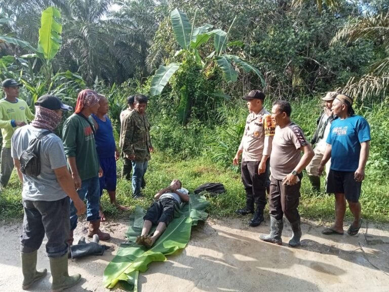 Tergeletak Kaku, Warga Asal Sungai Tengah Tewas di Jalan Perkebunan Sawit Kampung Temusai