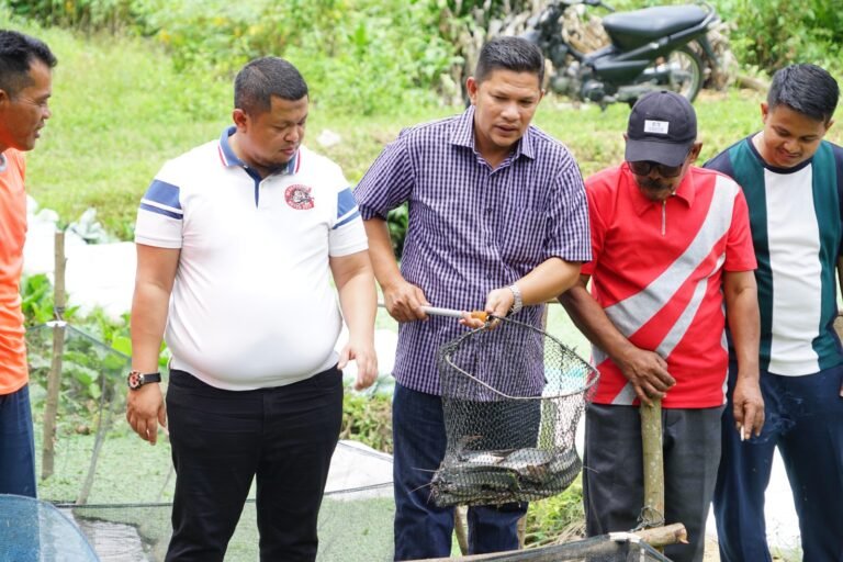 Camat Mandau Haidar di Kegiatan Panen Ikan Lele di Kelurahan Pematang Pudu