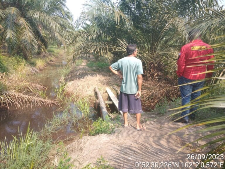 Modus Mafia Tanah di Buantan Besar Siak, Iming-iming Sesuatu ke Masyarakat Supaya Mau Menjadi Saksi Sempadan dan Mengakui Tanahnya