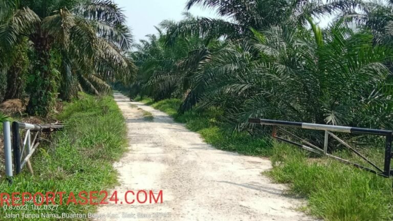 Diduga Berbohong Terkait Pajak Atas Klaim Lahan 192 Hektar, Buktinya Pemda Siak Pastikan Darwin Alias Abun Tak Pernah Bayar Pajak