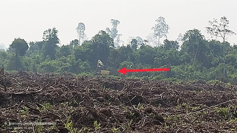 Cagar Biosfer GSK-Bukit Batu Wilayah Kabupaten Siak, Diduga Telah di Rambah dan Diperjual Belikan