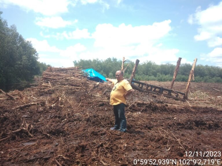 Tak Kantongi Kuasa Panen, Pengusaha Inisial Esa Panen Lahan Tora Melalui Koperasi, Pemilik SHM Merasa Telah di Tipu