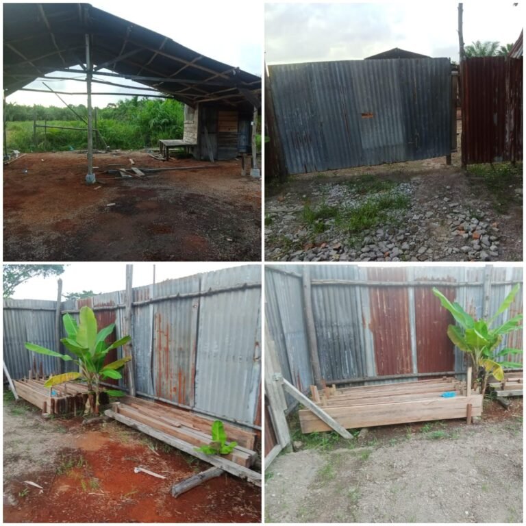 Diduga Usaha Pecahan Kayunya dari Hasil Ilegal Loging, Warga Dusun Pusaka Bernama Ital Ini, Mengaku Tak Takut Polisi