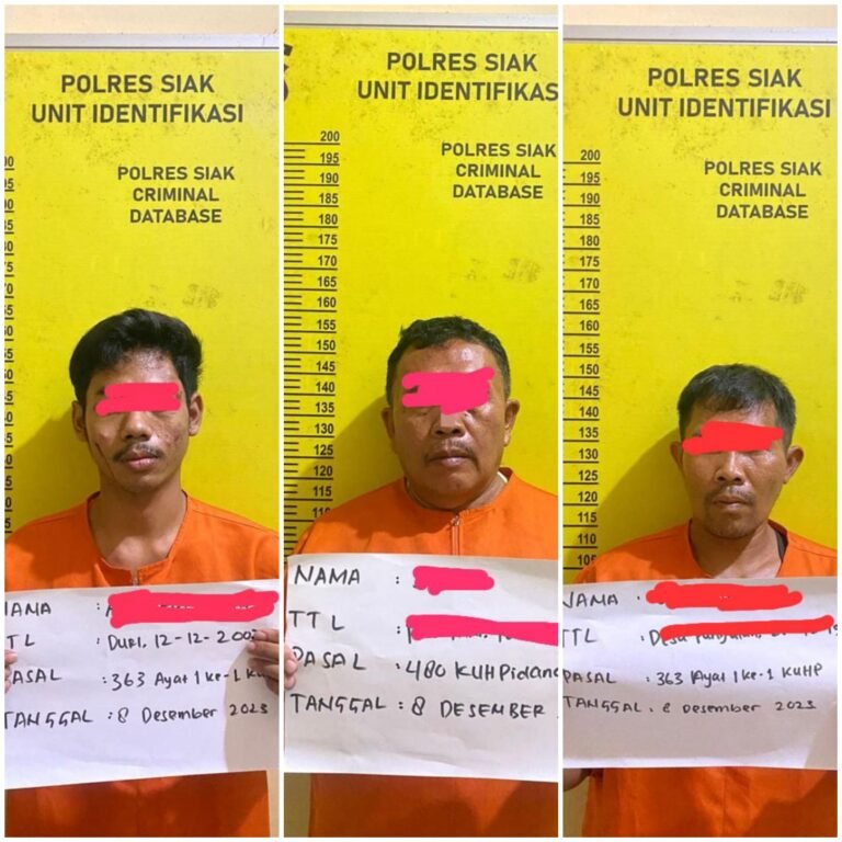 Satreskrim Polres Siak Bekuk Pencuri dan Penadah Sapi, yang Beraksi di Jalur Dua Kampung Langkai Siak