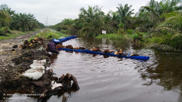 Diduga PT. TKWL, PT.RML dan PT.SSL Tutup DAS, Sebabkan Ratusan Hektar Kebun Tenggelam, Masyarakat Mengadu Ke DPRD
