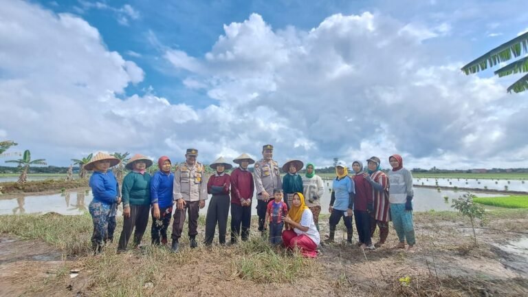 “Ngopimas” Ala Kapolsek Bungaraya Ikut Bajak Sawah dan Serukan Masyarakat Ciptakan Pemilu Aman, Damai dan Berintegritas.