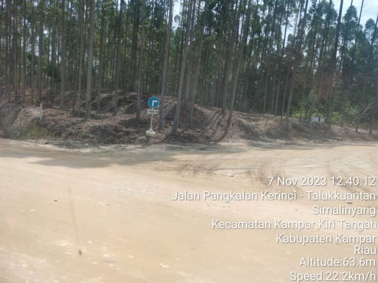 Perda Pengelolaan Hutan Belum Disahkan, PT SPR Trada Sudah Ajukan Izin Penguasaan Lahan di Tiga Kabupaten Wilayah Riau