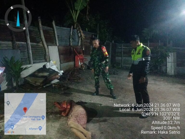 Diduga Dibunuh, Toke Besi di Siak, Ditemukan Kritis dan Bersimbah Darah