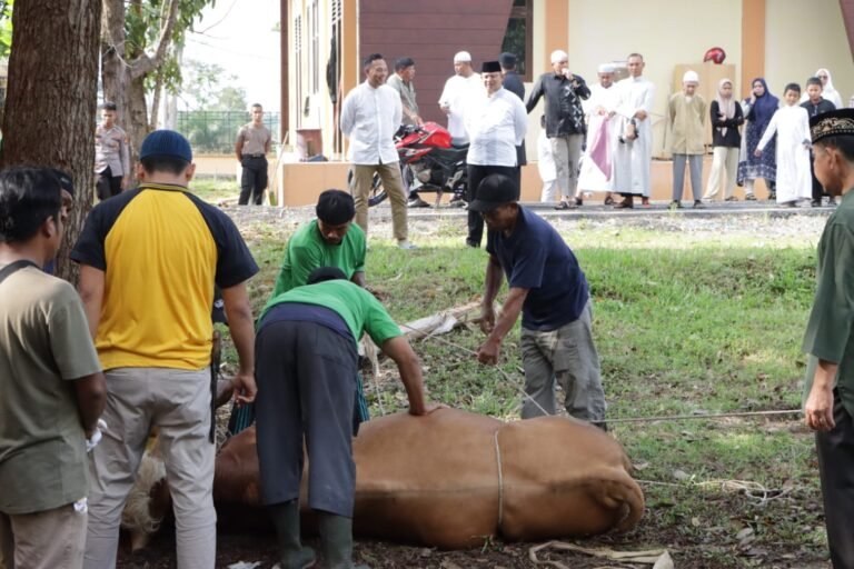 Polres Siak Potong 7 Ekor Hewan Kurban Untuk Masyarakat, Setelah Sholat Idul Adha 1455 H