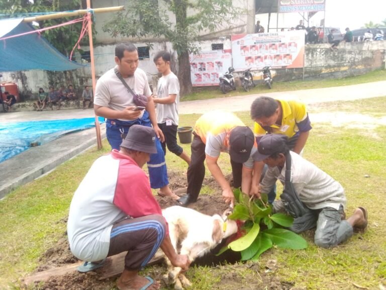 DPD PKS Lakukan Pemotongan Hewan Kurban