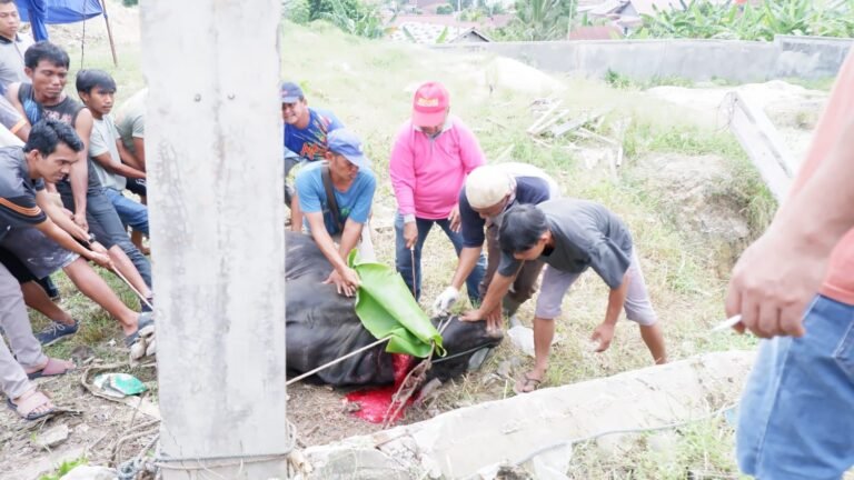 Idul Adha, RSU Permata Hati Potong 10 Ekor Hewan Qurban