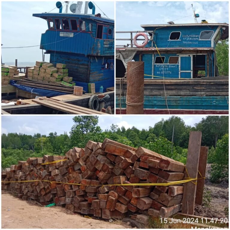 Disebut Milik Polda, Ratusan Tual Kayu Balok Tim Diduga Ilegal, Bebas Bongkar Muat di Pelabuhan Milik Awang Mengkapan-Sungai Apit
