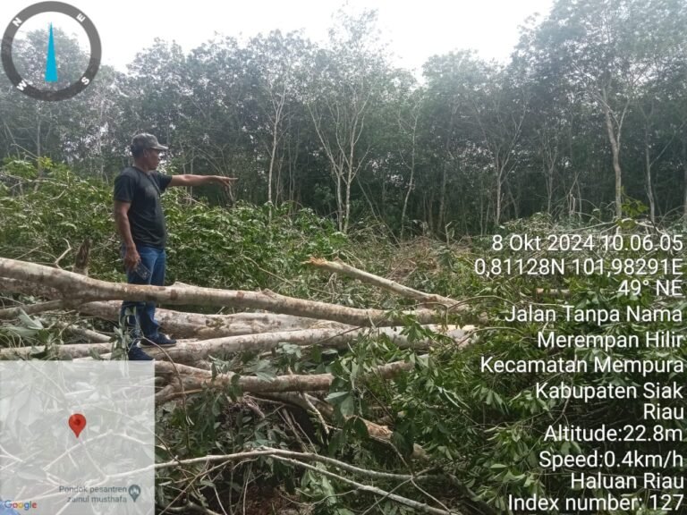 Lapor Pak Kapolres, Lahan Karet Milik Warga Rawang Air Putih Siak, di Porak Porandakan Antoni Cs, Tanpa Putusan Pengadilan