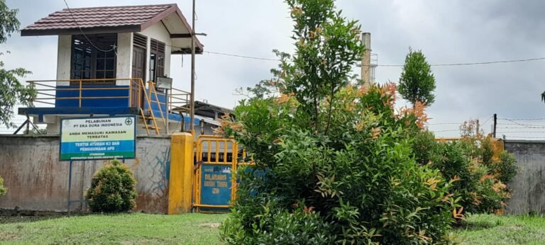 Diduga Tak Kantongi Izin, PT. Ekadura Indonesia Ternyata Sudah Beroperasi Bertahun-Tahun di Siak