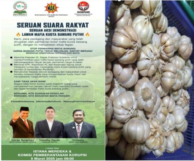 Harga Bawang Putih Naik Melambung Diduga Akibat Ulah T Mempermainkan Harga
