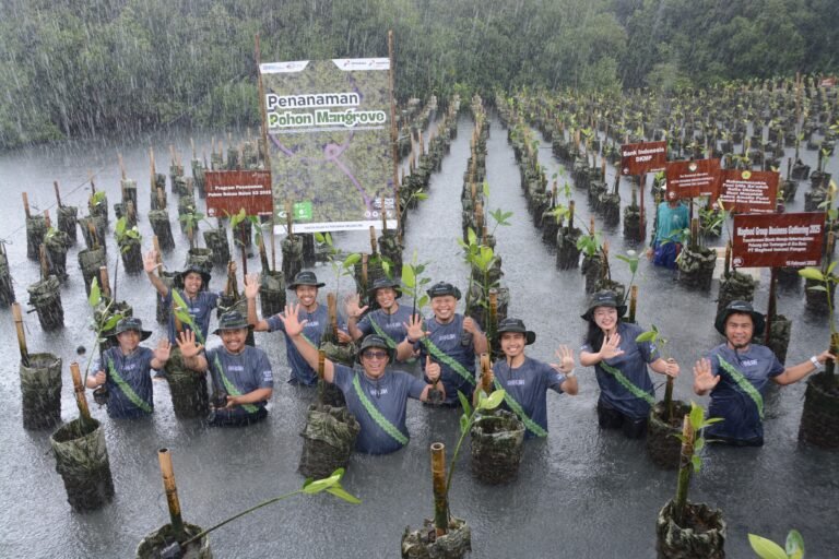 Dukung Pelestarian, Pertamina Drilling Tanam 1.000 Pohon Mangrove di Pesisir Jakarta Utara