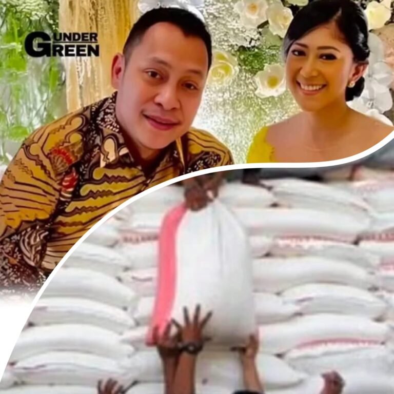 Diduga Suami Menkomdigi Terlibat Kasus Korupsi Impor Gula Rp578 Miliar