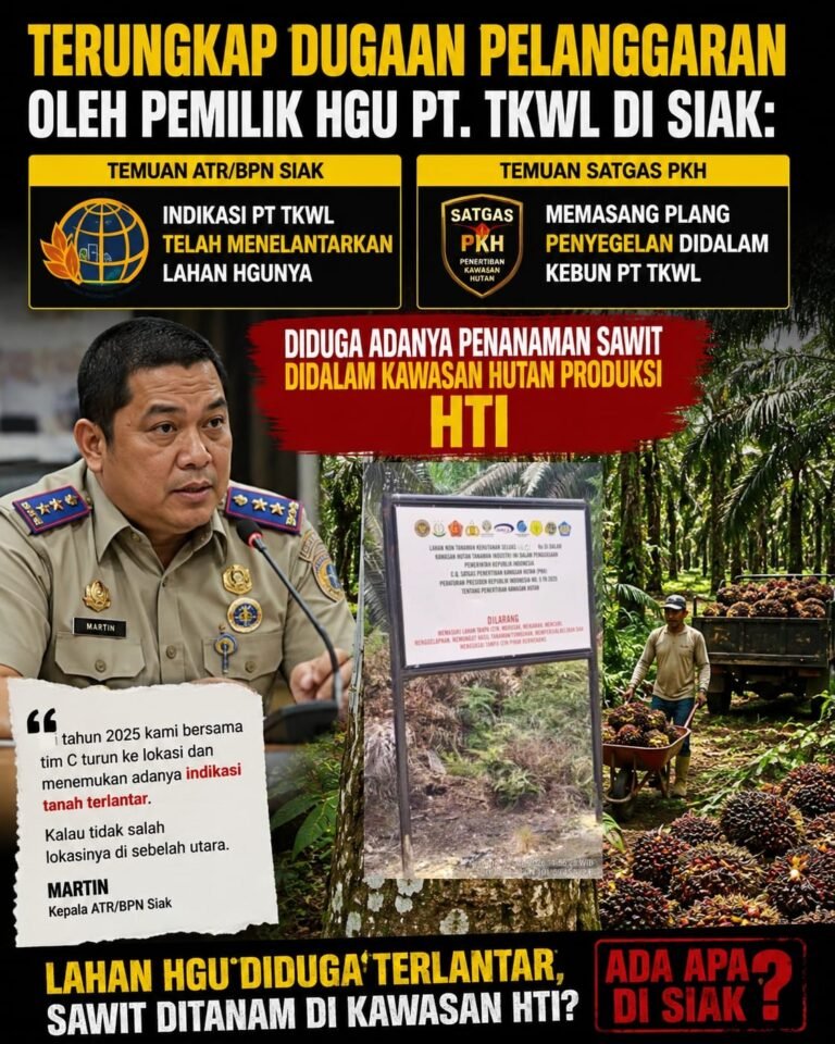 Dugaan Pelanggaran PT TKWL di Siak: Dugaan Penelantaran Lahan HGU dan Dugaan Penanaman Sawit Dalam Kawasan Hutan-HTI