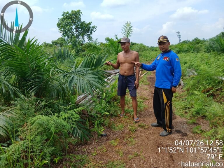 Merasa Terancam Garap Lahannya, Warga Kampung Temusai Akan Laporkan Ardi S Ke Polda Riau