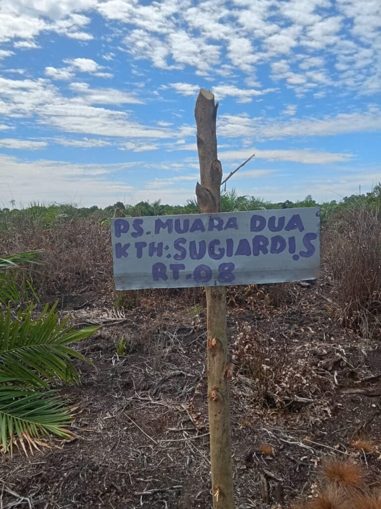 Anggota KTH – PS Muara Dua Diduga Jual Beli Lahan  Kawasan Hutan dan Diduga Serobot Lahan Kelompok Tani Kampung Temusai 