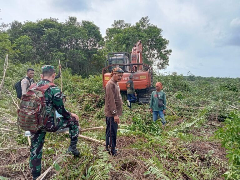 Tanam Sawit di Kawasan Hutan yang Pernah Terbakar di Temusai- Siak, Warga Desak APH Proses Hukum Penggarap