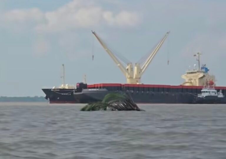 Masih Disidik, MV Himala Bermuatan Cangkang PT KIMI Masih Tertahan di Perairan KITB Siak