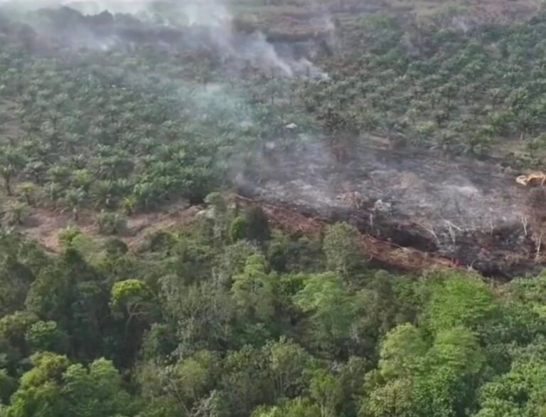 Api Mulai Merambat ke Cagar Biosfer Tasik Betung