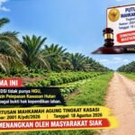 PT DSI Ternyata Tak Punya HGU, Mahkamah Agung : Izin Pengelolaan Kawasan Hutan Bukan Bukti Hak Kepemilikan Lahan