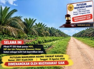 PT DSI Ternyata Tak Punya HGU, Mahkamah Agung : Izin Pengelolaan Kawasan Hutan Bukan Bukti Hak Kepemilikan Lahan