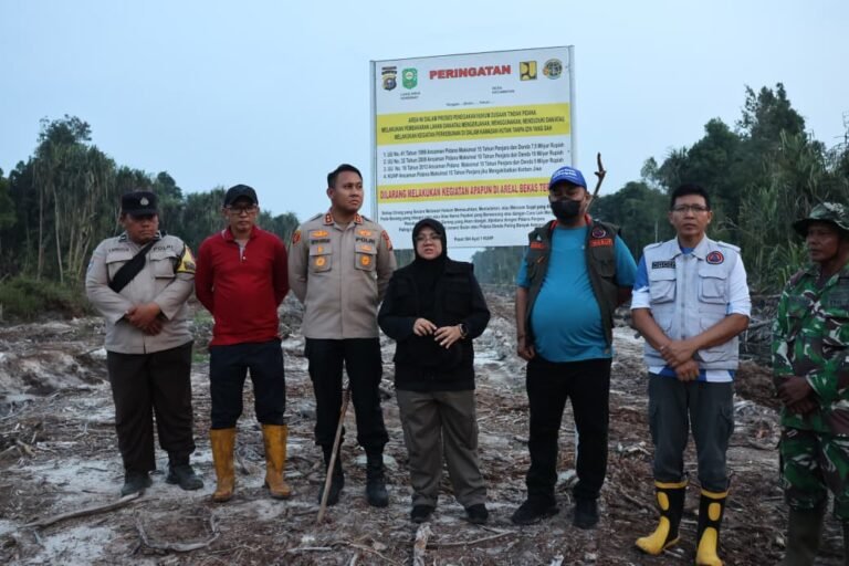 Tinjau Lokasi Kebakaran, Afni Z Dukung Penegakan Hukum Atas Pihak yang Klaim Lahan Negara, Kades di Larang Terbitkan SKT