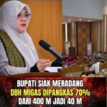 Pusat Semakin Beringas, Hak DBH Migas Siak Dipangkas Lagi 70%