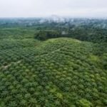 OPD Siak Tak Hadir, Dinas LHK Provinsi Riau Buka  Penguatan Pemantauan Deforestasi Berbasis Teknologi